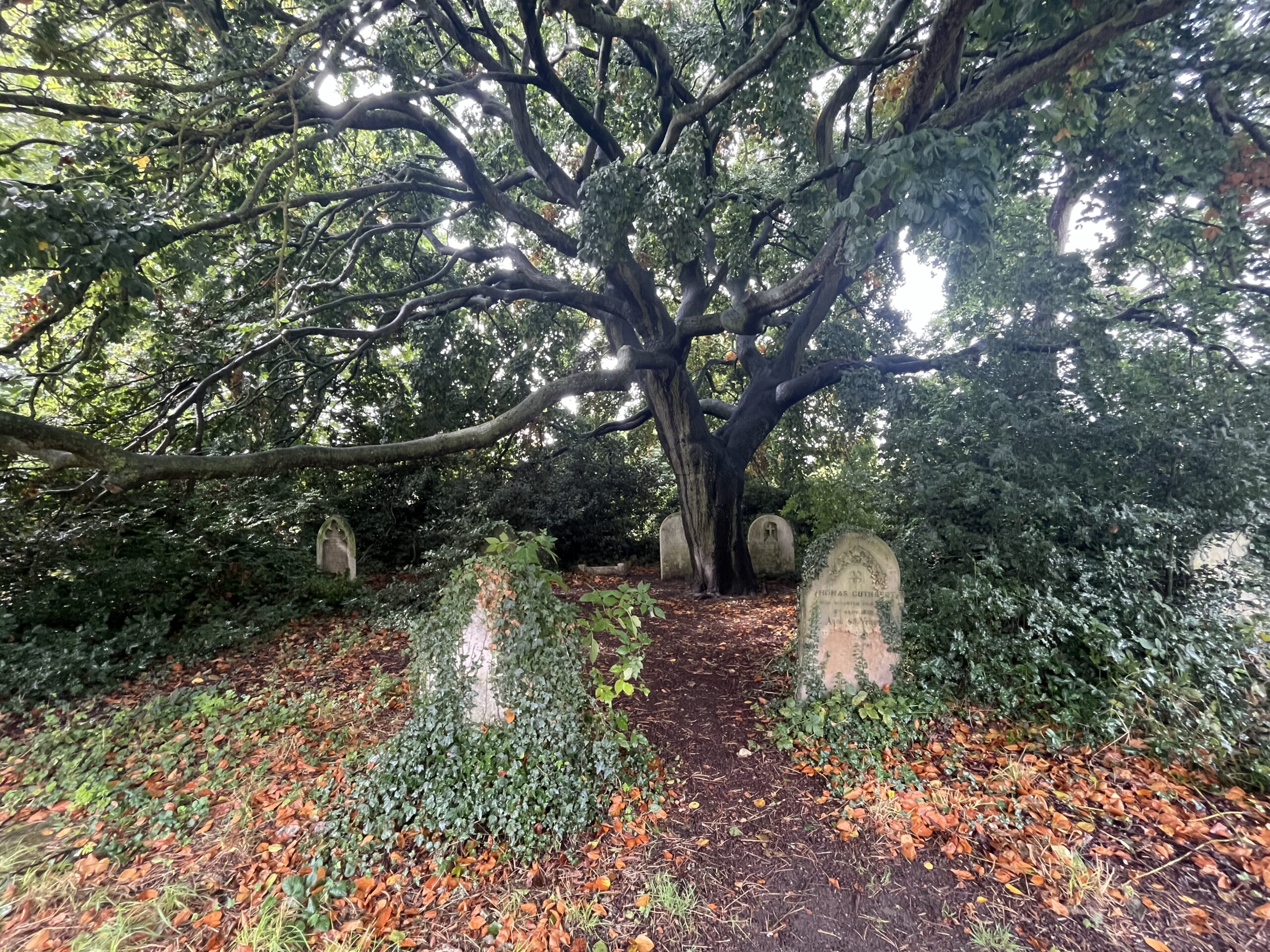 Stroll back through time, one headstone at a time