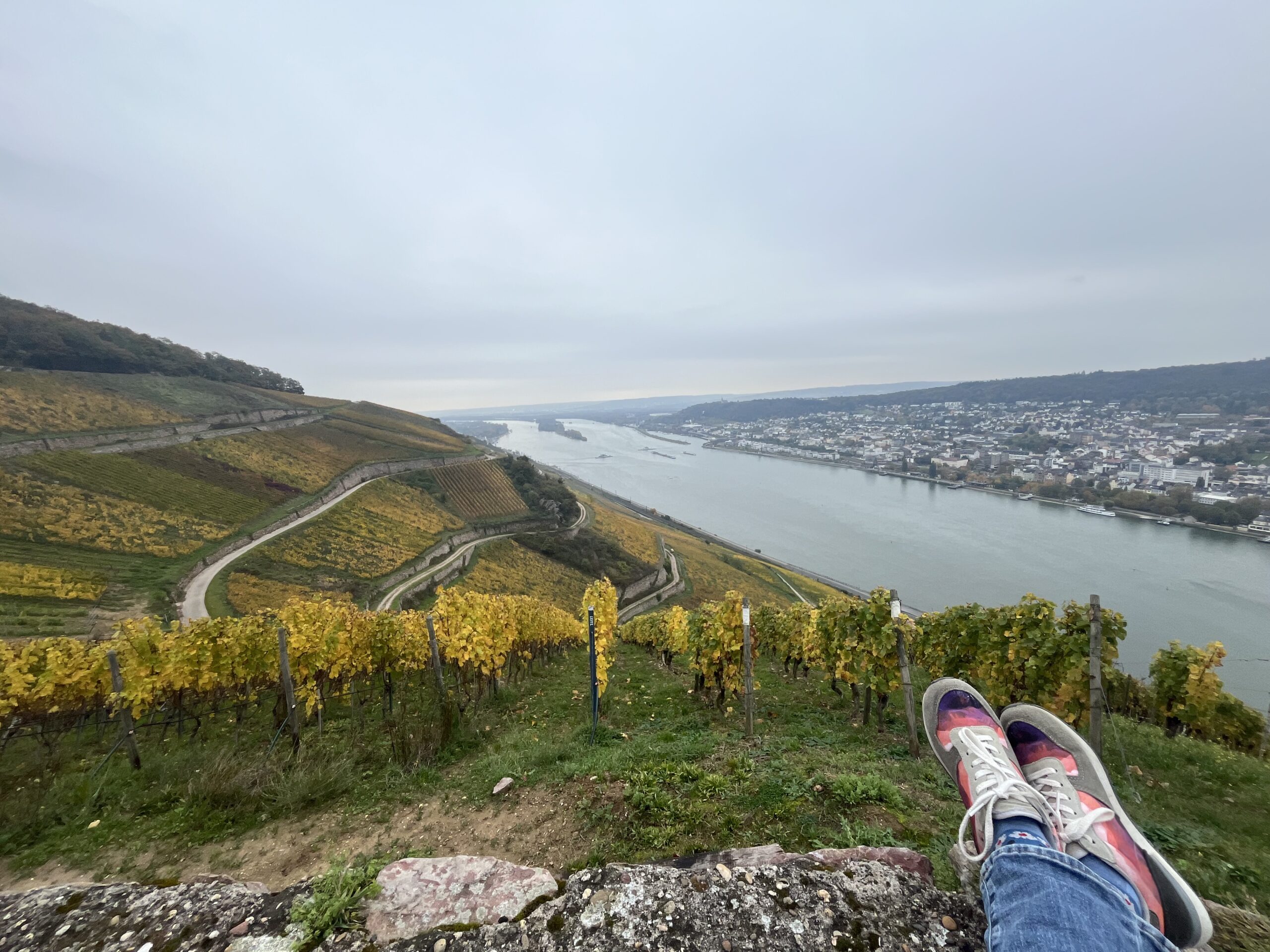 Viewing the spectacular fall colors at Rüdesheim am Rhein, Germany